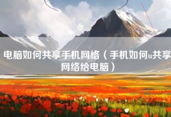 电脑如何共享手机网络（手机如何u共享网络给电脑）