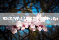 高帧率的手机（高帧率手机耗电快吗）