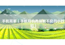 手机耳塞（手机耳机孔接触不良的小妙招）