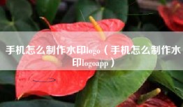 手机怎么制作水印logo（手机怎么制作水印logoapp）