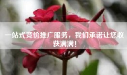 一站式竞价推广服务，我们承诺让您收获满满！
