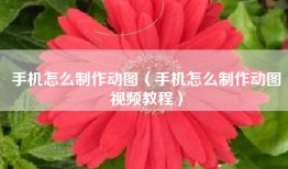 手机怎么制作动图（手机怎么制作动图视频教程）