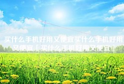 买什么手机好用又便宜买什么手机好用又便宜「买什么手机好用又便宜」