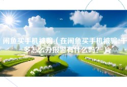 闲鱼买手机被骗（在闲鱼买手机被骗2千多怎么办报警有什么吗？）