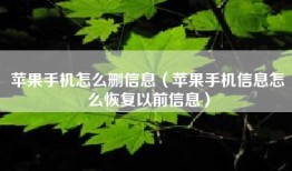 苹果手机怎么删信息（苹果手机信息怎么恢复以前信息）