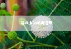 精神小伙经典语录