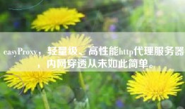 easyProxy，轻量级、高性能http代理服务器，内网穿透从未如此简单。