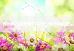 苏州网站制作推广平台【苏州网站建站推广】
