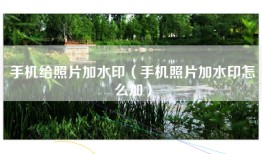 手机给照片加水印（手机照片加水印怎么加）