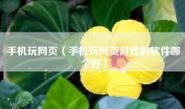 手机玩网页（手机玩网页游戏的软件哪个好）