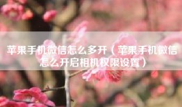 苹果手机微信怎么多开（苹果手机微信怎么开启相机权限设置）
