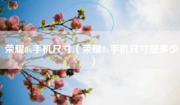 荣耀8x手机尺寸（荣耀8x手机尺寸是多少）