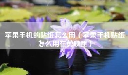 苹果手机的贴纸怎么用（苹果手机贴纸怎么用在剪映里）