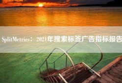SplitMetrics：2021年搜索标签广告指标报告