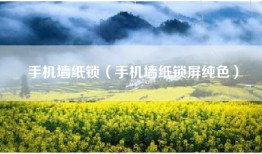 手机墙纸锁（手机墙纸锁屏纯色）