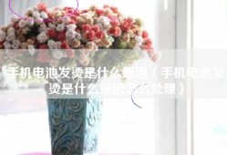手机电池发烫是什么原因（手机电池发烫是什么原因怎么处理）