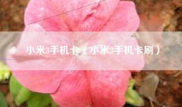 小米3手机卡（小米3手机卡刷）