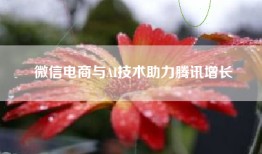 微信电商与AI技术助力腾讯增长