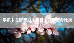 手机卡在哪里办（手机卡在哪里办比较好）