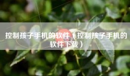 控制孩子手机的软件（控制孩子手机的软件下载）