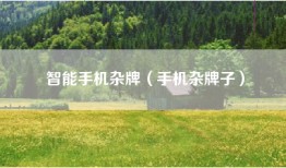 智能手机杂牌（手机杂牌子）