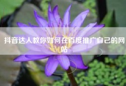 抖音达人教你如何在百度推广自己的网站