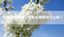 手机虹膜解锁（手机虹膜解锁怎么解）