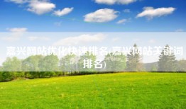 嘉兴网站优化快速排名(嘉兴网站关键词排名)