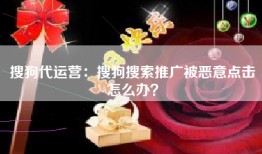 搜狗代运营：搜狗搜索推广被恶意点击怎么办？