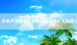 手机声音变小（手机声音变小什么原因）