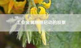工业金属刚刚启动的股票