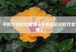 手机自启软件管理（手机自启动软件管理）