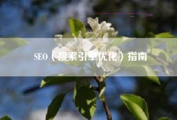 SEO（搜索引擎优化）指南