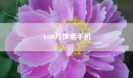 6400万像素手机