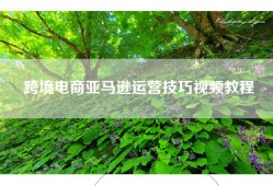 跨境电商亚马逊运营技巧视频教程
