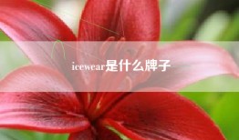 icewear是什么牌子