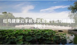 红鸟健康云手机手机加盟「红鸟健康云手机」