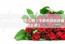手机耳机声道怎么调（手机的耳机音量怎么调）