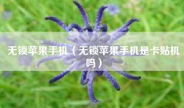 无锁苹果手机（无锁苹果手机是卡贴机吗）