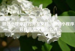 微信小程序官方开发文档，微信小程序官方开发文档怎么弄