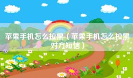 苹果手机怎么拉黑（苹果手机怎么拉黑对方短信）