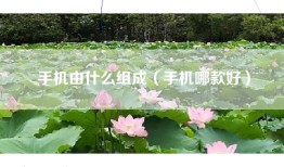 手机由什么组成（手机哪款好）