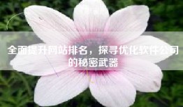 全面提升网站排名，探寻优化软件公司的秘密武器