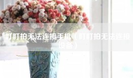 盯盯拍无法连接手机（盯盯拍无法连接设备）
