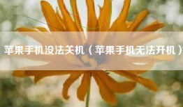 苹果手机没法关机（苹果手机无法开机）