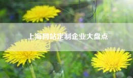 上海网站定制企业大盘点