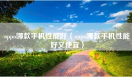 oppo哪款手机性能好（oppo哪款手机性能好又便宜）