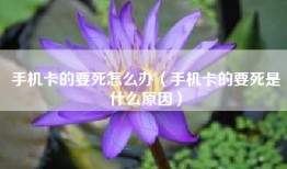 手机卡的要死怎么办（手机卡的要死是什么原因）