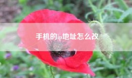 手机的ip地址怎么改