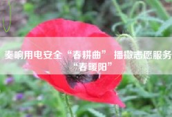 奏响用电安全“春耕曲” 播撒志愿服务“春暖阳”